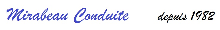 logo site